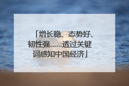 增长稳、态势好、韧性强……透过关键词感知中国经济