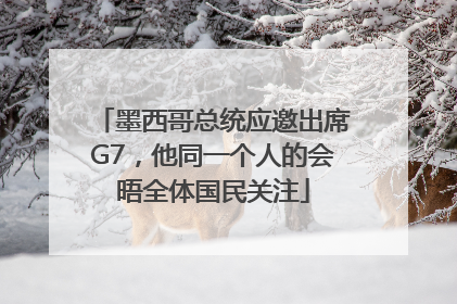 墨西哥总统应邀出席G7，他同一个人的会晤全体国民关注
