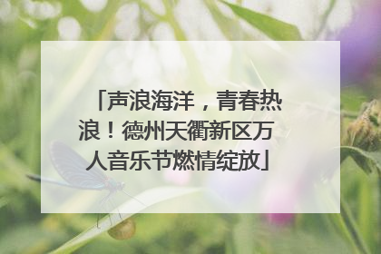 声浪海洋，青春热浪！德州天衢新区万人音乐节燃情绽放