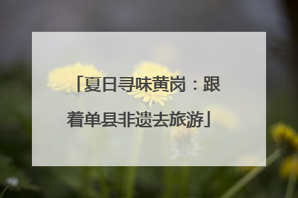 夏日寻味黄岗：跟着单县非遗去旅游