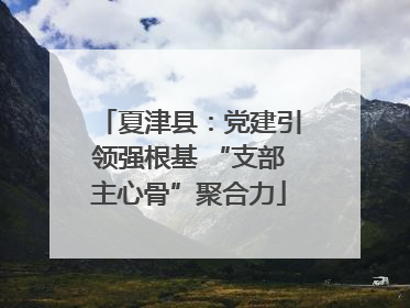 夏津县：党建引领强根基 “支部主心骨”聚合力