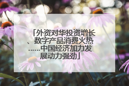外资对华投资增长、数字产品消费火热……中国经济加力发展动力强劲