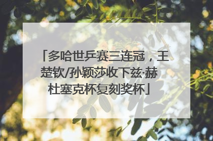 多哈世乒赛三连冠，王楚钦/孙颖莎收下兹·赫杜塞克杯复刻奖杯
