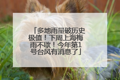 多地雨量破历史极值！下周上海梅雨不歇！今年第1号台风有消息了