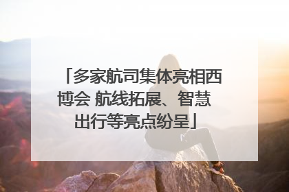 多家航司集体亮相西博会 航线拓展、智慧出行等亮点纷呈