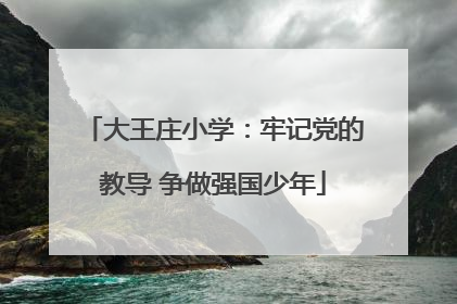 大王庄小学：牢记党的教导 争做强国少年