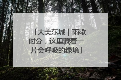 大美东城｜雨歇时分，这里藏着一片会呼吸的绿境