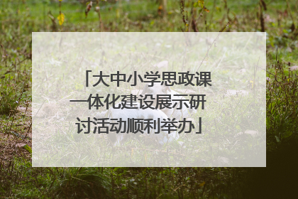 大中小学思政课一体化建设展示研讨活动顺利举办