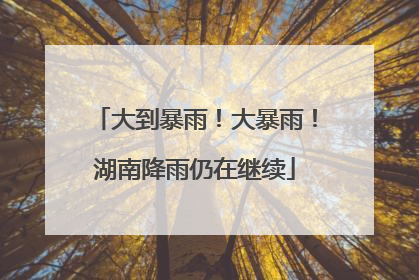 大到暴雨！大暴雨！湖南降雨仍在继续