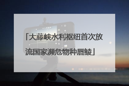 大藤峡水利枢纽首次放流国家濒危物种唇鲮