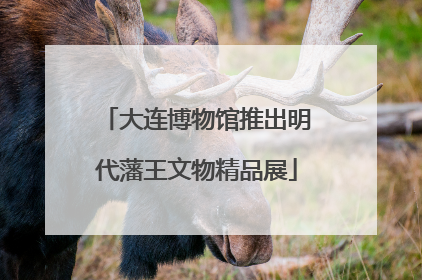 大连博物馆推出明代藩王文物精品展