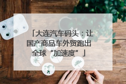 大连汽车码头：让国产商品车外贸跑出全球“加速度”