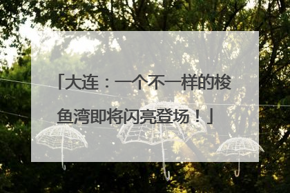 大连：一个不一样的梭鱼湾即将闪亮登场！