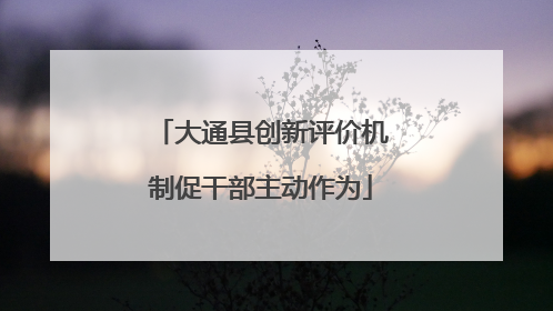 大通县创新评价机制促干部主动作为