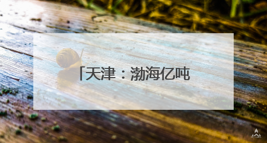 天津：渤海亿吨级油田海上平台陆地建造工作收官