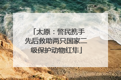太原：警民携手 先后救助两只国家二级保护动物红隼