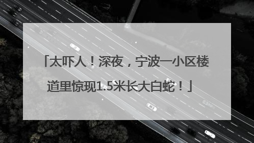 太吓人！深夜，宁波一小区楼道里惊现1.5米长大白蛇！