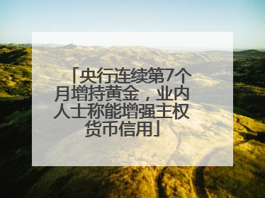 央行连续第7个月增持黄金，业内人士称能增强主权货币信用