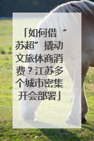 如何借“苏超”撬动文旅体商消费？江苏多个城市密集开会部署