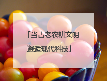当古老农耕文明邂逅现代科技