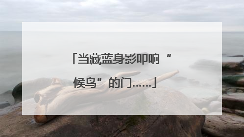 当藏蓝身影叩响“候鸟”的门……