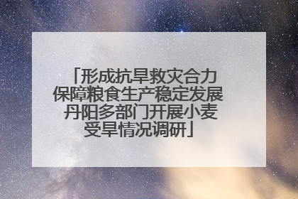 形成抗旱救灾合力 保障粮食生产稳定发展 丹阳多部门开展小麦受旱情况调研