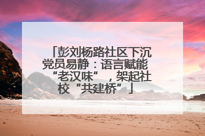 彭刘杨路社区下沉党员易静：语言赋能“老汉味”，架起社校“共建桥”