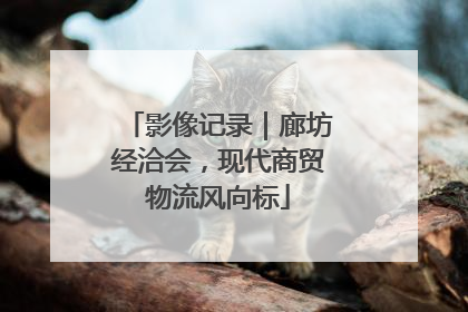影像记录｜廊坊经洽会，现代商贸物流风向标