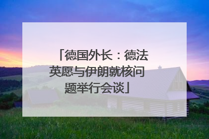 德国外长：德法英愿与伊朗就核问题举行会谈