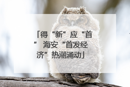 得“新”应“首” 海安“首发经济”热潮涌动