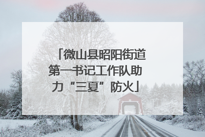 微山县昭阳街道第一书记工作队助力“三夏”防火