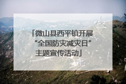 微山县西平镇开展“全国防灾减灾日”主题宣传活动