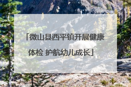 微山县西平镇开展健康体检 护航幼儿成长