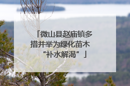微山县赵庙镇多措并举为绿化苗木“补水解渴”