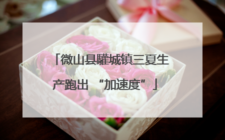 微山县驩城镇三夏生产跑出 “加速度”