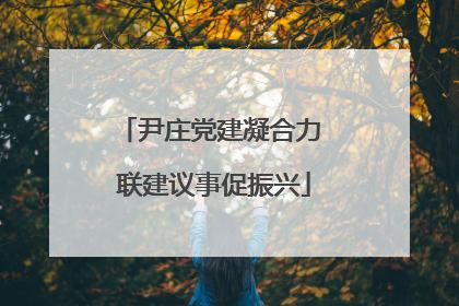 尹庄党建凝合力 联建议事促振兴