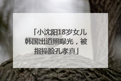 小沈阳18岁女儿韩国出道照曝光，被指撞脸孔孝真