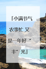 小满节气农事忙 又是一年好“丰”光