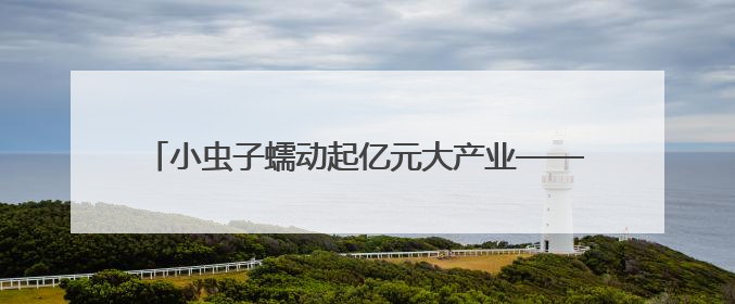 小虫子蠕动起亿元大产业——菏泽女老板李端端的乡村故事