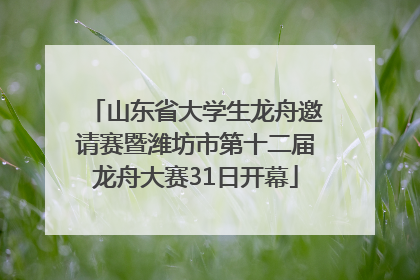 山东省大学生龙舟邀请赛暨潍坊市第十二届龙舟大赛31日开幕