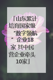 山东累计培育国家级“数字领航”企业18家 其中民营企业牵头10家