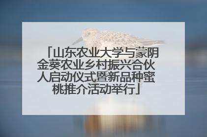 山东农业大学与蒙阴金葵农业乡村振兴合伙人启动仪式暨新品种蜜桃推介活动举行