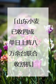 山东小麦已收四成 单日上阵八万余台联合收割机
