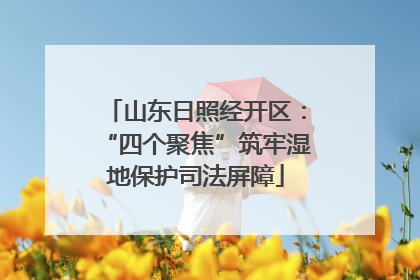 山东日照经开区：“四个聚焦”筑牢湿地保护司法屏障