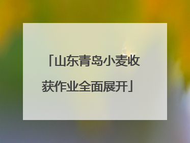 山东青岛小麦收获作业全面展开