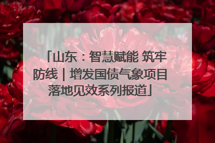 山东：智慧赋能 筑牢防线｜增发国债气象项目落地见效系列报道