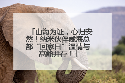 山海为证，心归安然！纳米伙伴威海总部“回家日”温情与高能并存！