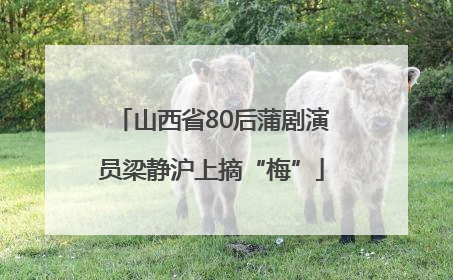 山西省80后蒲剧演员梁静沪上摘“梅”