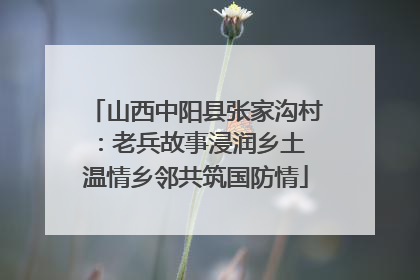 山西中阳县张家沟村：老兵故事浸润乡土 温情乡邻共筑国防情