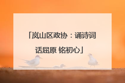 岚山区政协：诵诗词 话屈原 铭初心